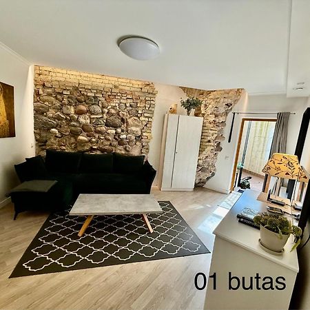 Six Apartment Simona Vilnius Bagian luar foto